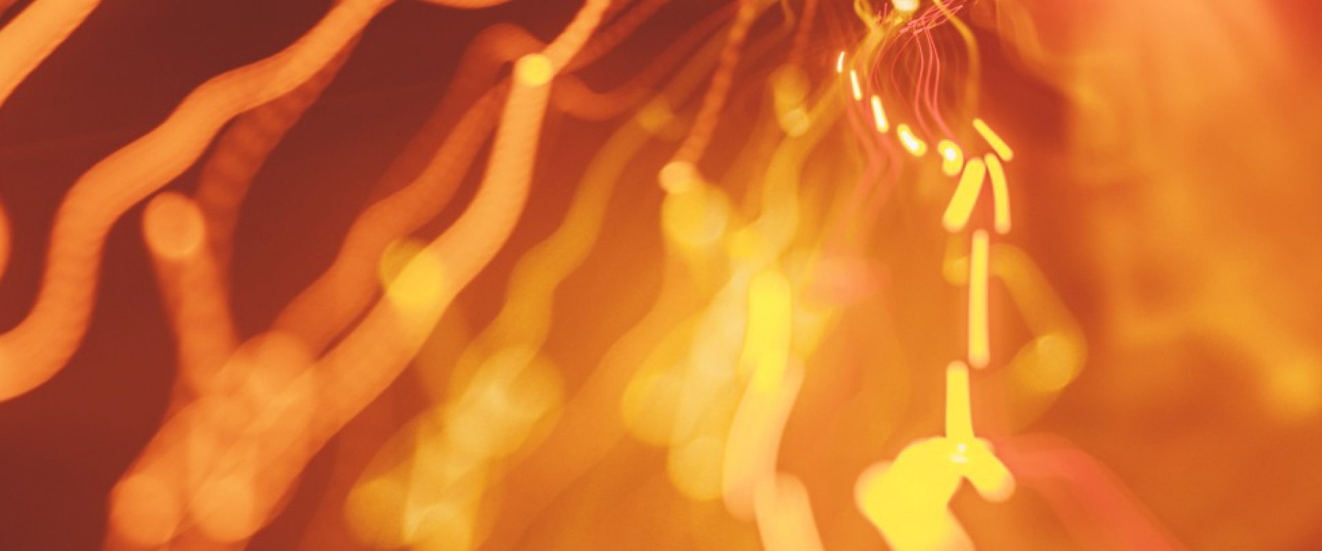 Lime Limoscope Header